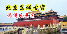 看美女操逼男人操女人抠逼中国北京-东城古宫旅游风景区