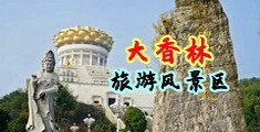 大肉棒使劲操骚妇视频中国浙江-绍兴大香林旅游风景区